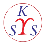 Sky Export Logo